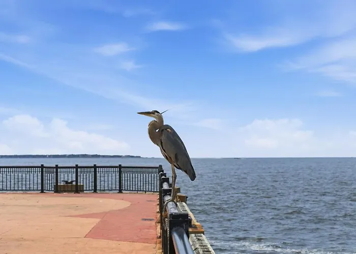 Pensacola, Nas, Beaches, Game And Workspace * Pensacola